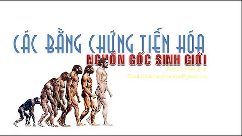 CÁC BẰNG CHỨNG TIẾN HÓA | SINH HỌC 12