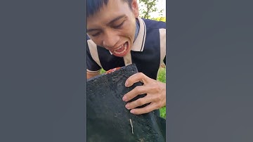 Ăn bánh dày siêu to với tương ớt cay nồng ai nhìn cũng sợ hãi 😱🌶️ #funny #shorts #comedy