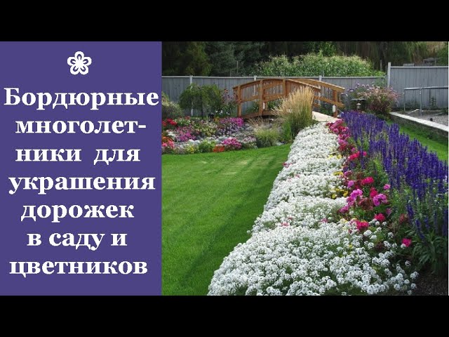 Набор для вышивания Летние цветы. Дорожка (PN) – купить в Москве | 5perspectives.ru