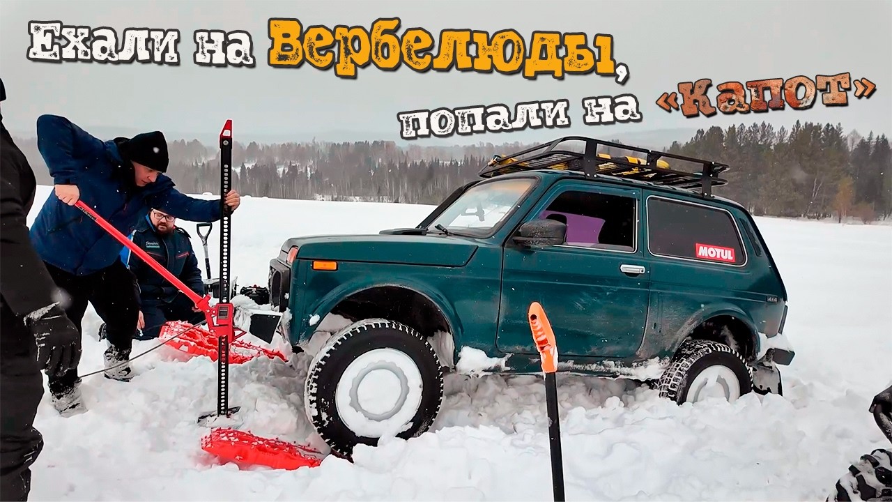 Снежный офф-роуд в Сибири. Suzuki GV 3d, Нивы 3d b и 5d рубятся в ночном лесу.