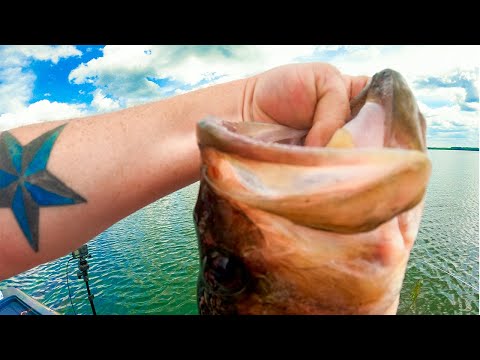 Bass Fishing Lake Seminole - This Bass is HUGE! May 2023