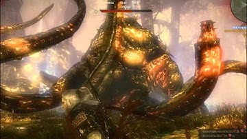 How to kill The Kayran in The Witcher 2