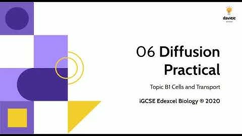 06. Diffusion Practical - Biology IGCSE Edexcel 9-1: Cells and Transport