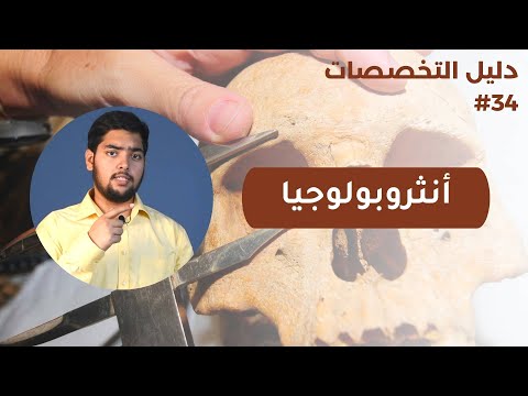 أنثروبولوجيا علم الإنسان  دليل التخصصات الحلقة 34