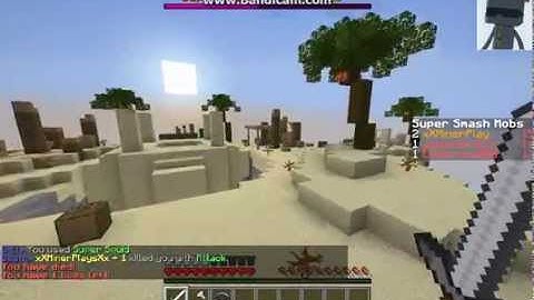 Mineplex: HACKER SPOTTED!