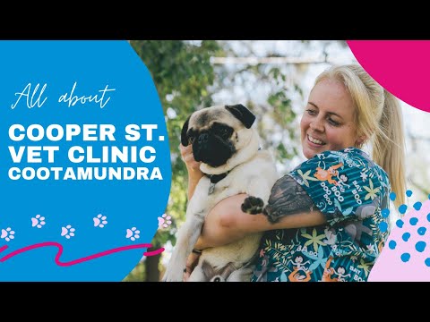 Cooper Street Vet Clinic in Cootamundra by Australian Veterinary Hospitals