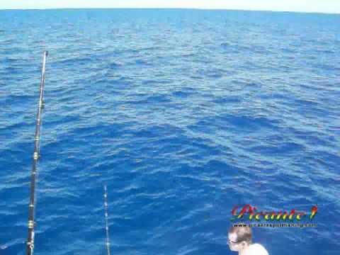 Fishing Tunas and Marlin on the Picante 40