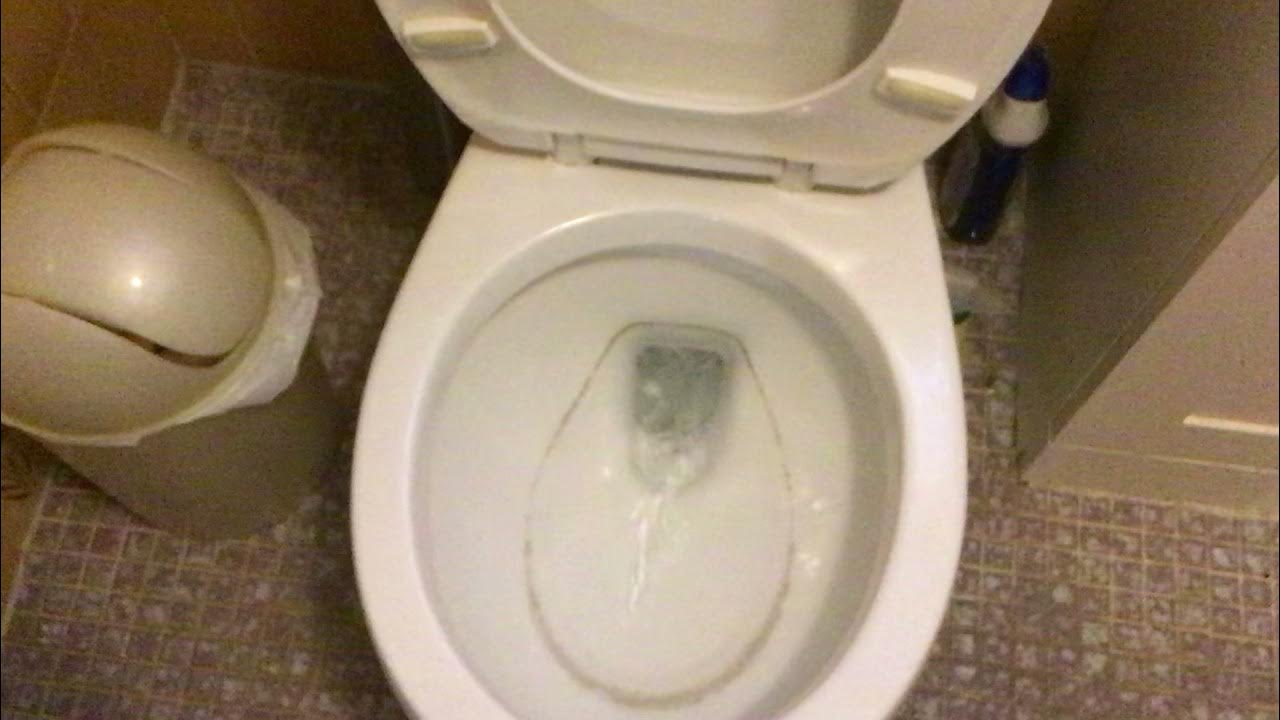 POS 2011 Foremost Toilet YouTube