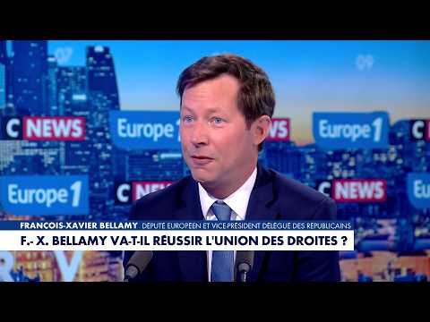 Miniature de la vidéo : François-Xavier Bellamy : «Edouard Philippe et Gabriel Attal sont des enfants du macronisme»