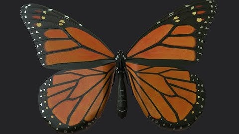 Monarch VR Project - Avatar Showcase v. 0.7.6