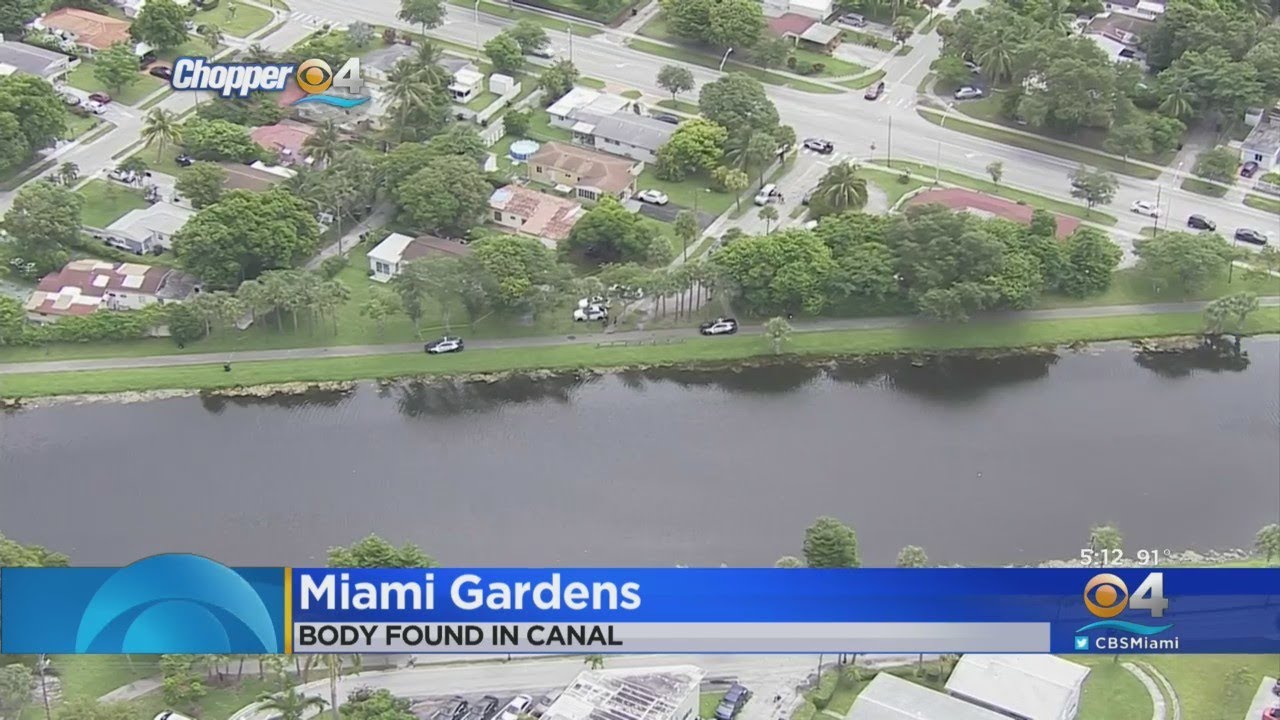Body Found In North Miami Beach Canal - YouTube