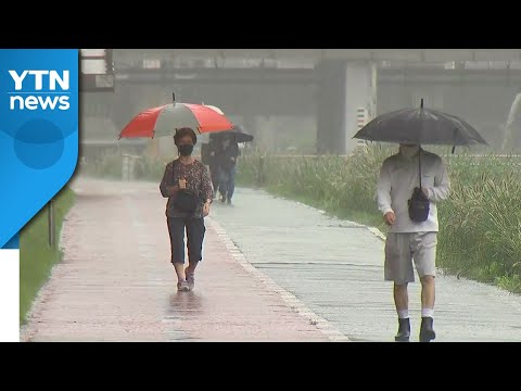 [날씨] 오늘(추석) 전국 강한 비...구름 사이로 달 감상 가능 / YTN