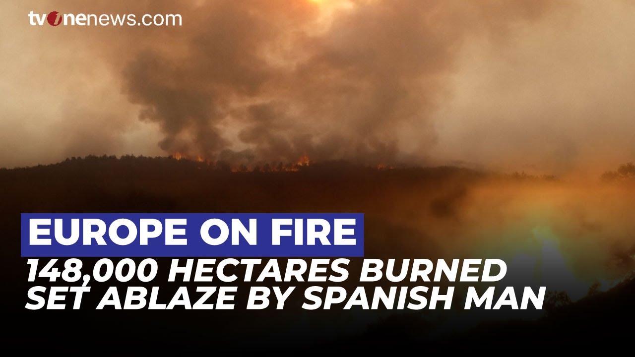 Summer Tragedy: Spanish Man Sets Land on Fire, 148,000 Hectares of Forest Burned | OneNews Update