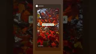 Instagram Music Hack #instagramtips #instagramforbusiness