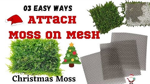 Attach moss on Mesh | 3 ways to Attach moss on steel mesh| #attachmossonmesh