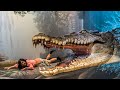 Top 10 Amazing Facts  in Hindi about Crocodile