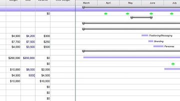 FastTrack Schedule 10 QuickTip Project Budgeting Mac HD