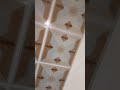 PVC celling installation #woodworking #pvc_ciling_design #pvc #skilledcarpenter
