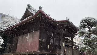 Japan Peaceful Temple Snow Loop 2022.01.06 ASMR Ambience Sound Sleep Meditate Relax Tokyo Suburb