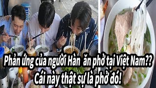 Korean men first eat rice noodles in Vietnam!!