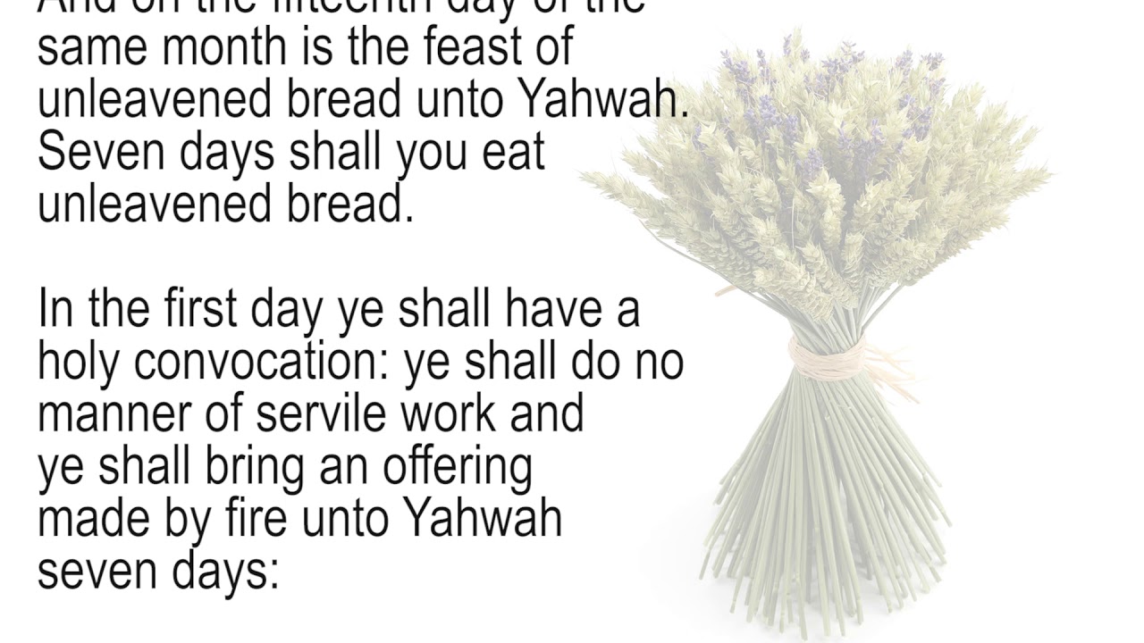 prophetic-priesthood-at-jerusalem-presents-counting-of-the-omer-2020