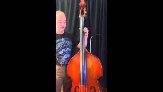 DB 11 Position Numbering on the Double Bass