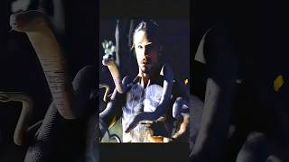 Elektra 2005 The Treasure Is Here Elektra Vs Tattoo Snakes