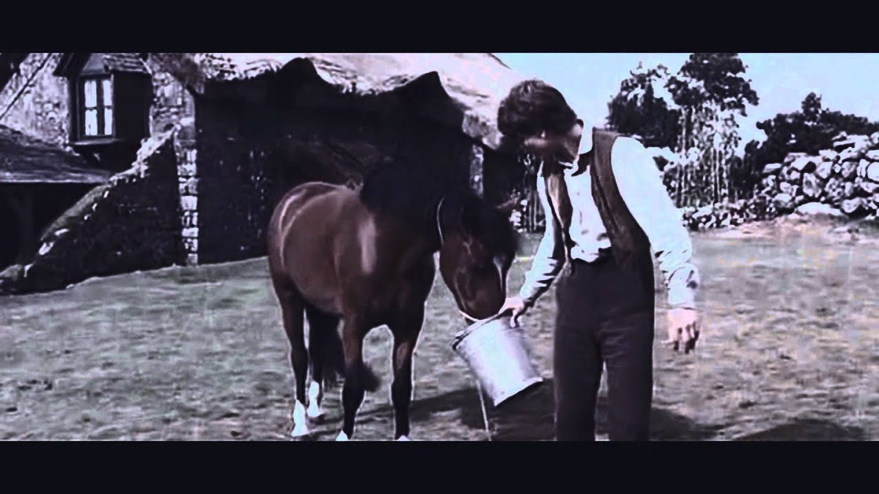 War Horse; how to save a life