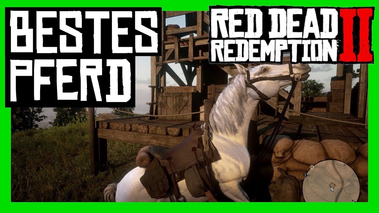 Red Dead Redemption 2 Weißer Araber Kaufen Red Dead Redemption 2 - Bestes Pferd kostenlos - Weißer Araber finden