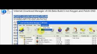 Internet Download Manager 6.21 build 15 full version (serial key + Crack)