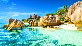 Summer Vibes 4K ☀️🍓 Seychelles 🏝️🌴 Travel the world 🌍
