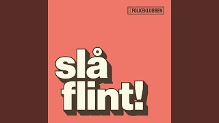 Blomsten Og Vasen