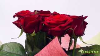 9 красных роз