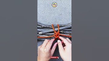 Learn the bundle knot #shorts #knottutorial #knot #bundleknot @DoiT_03