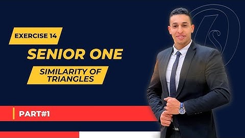 senior one ( similarity of triangles ) solving exercise