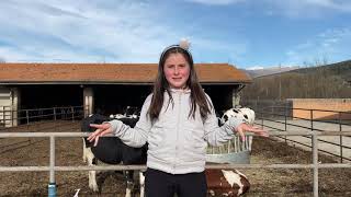 Visitando Una Granja En La Cerdaña! 🐮 (Puigcerdà) screenshot 4