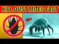 How to Get Rid of DUST MITES Quickly & Naturally?