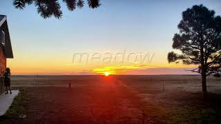 endless - meadow