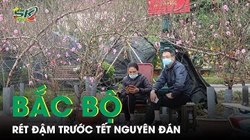 Trước Tết Nguyên Đán, Bắc Bộ Đón Không Khí Lạnh, Có Nơi Nhiệt Độ Xuống Dưới 9 Độ C | SKĐS