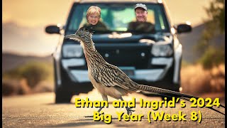 Ethan and Ingrid's 2024 Big Year (Week 8)