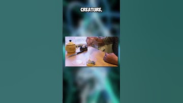 Viral Homunculus Videos Explained