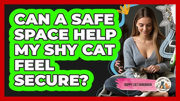 Can A Safe Space Help My Shy Cat Feel Secure? - Happy Cat Handbook
