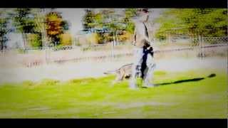 Fando Von Der Emsaue