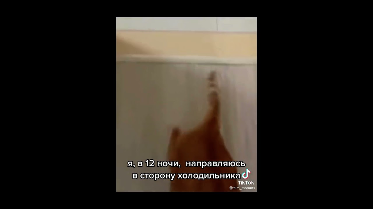 Песня кота тик ток