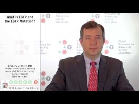 What is EGFR