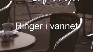 Sturle Andersen   Ringer i vannet