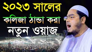 নোয়াখালীতে মানুষের ঢল | হাফিজুর রহমান সিদ্দিকী | নতুন ওয়াজ | Hafizur Rahman Siddiki | New Waz 2023 |