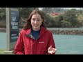 Fisherman describes moment he pulled bag of human remains out of water in Auckland | Newshub