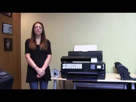 Epson SureColor P800 Printer Overview