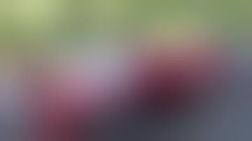 Best Fails of the Month February 2016